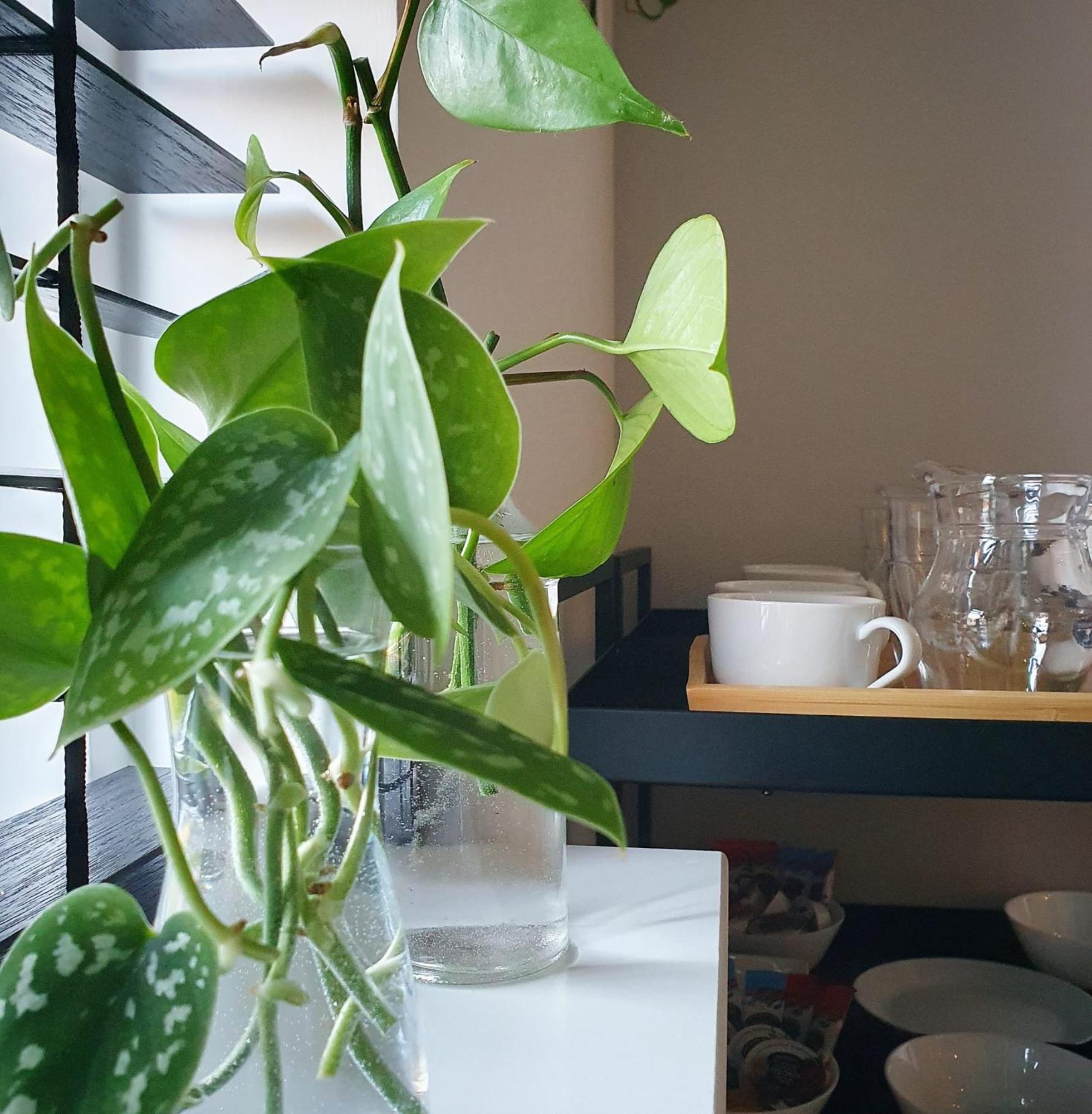 Kamperveen Bed And Breakfast 'Wij En De Zande' - Kamer Met Vide מראה חיצוני תמונה